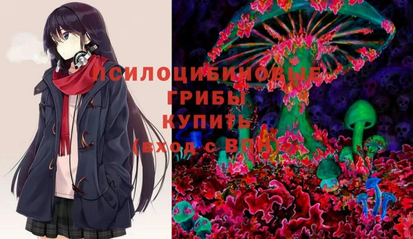 круглые Коряжма